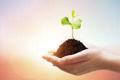 Corporate Social Responsibility (CSR)