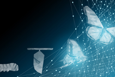 Leading Digital Transformation