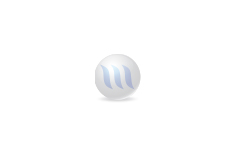 Risk Management and Mitigation in Insurance Companies